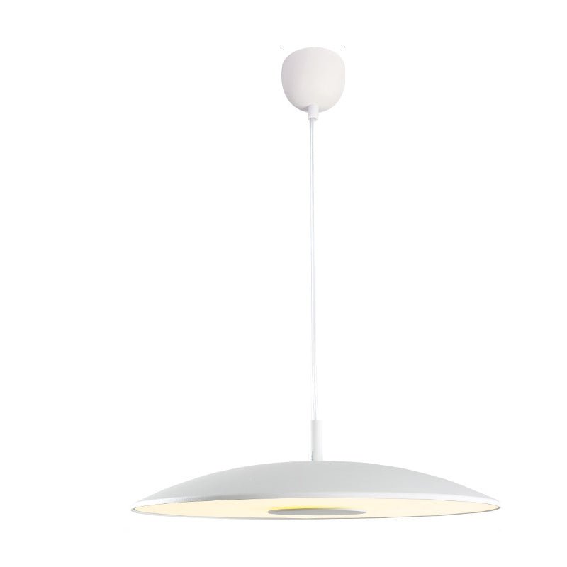 Lampes suspendues LED en nickel fer