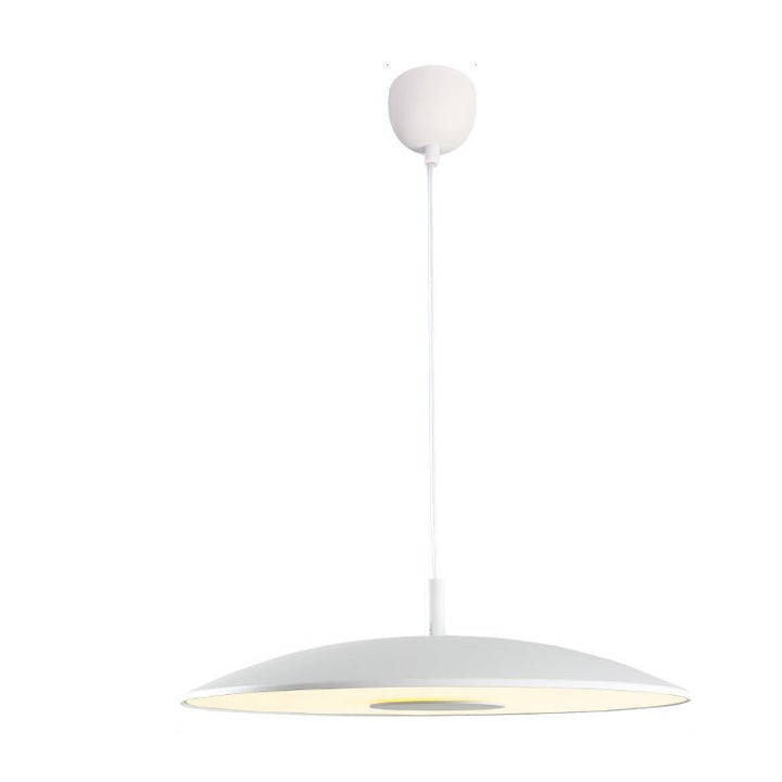Lampes suspendues LED en nickel fer