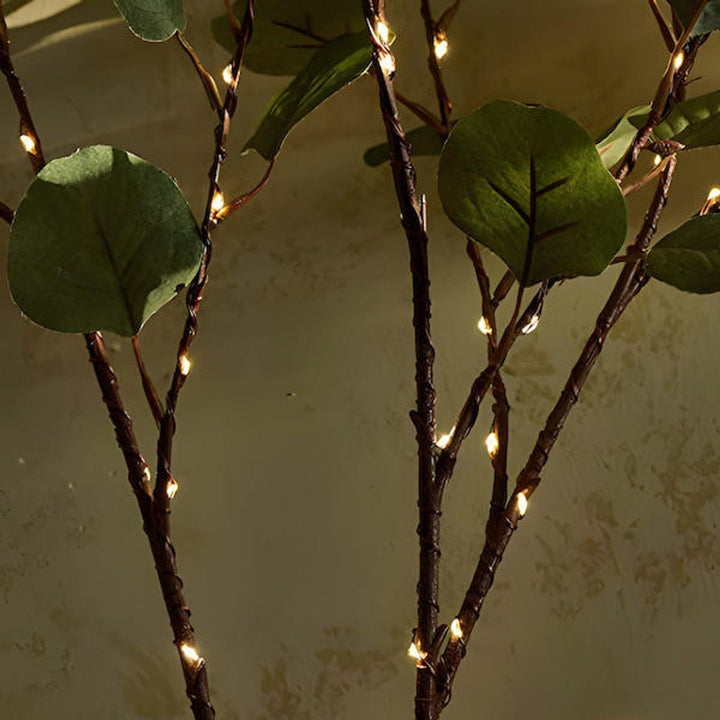 Lumière féerique branche d'olivier